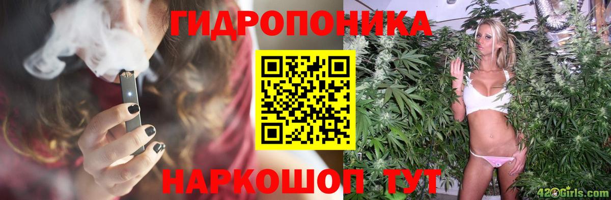 Шишки марихуана семена Чусовой